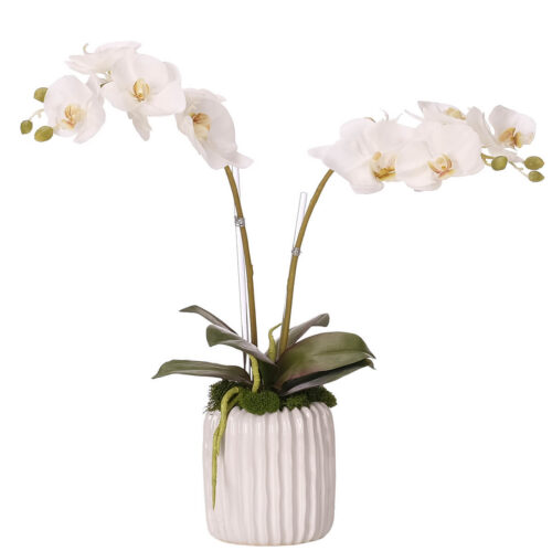 Phalaenopsis Orchid, Faux Arrangement, 18"