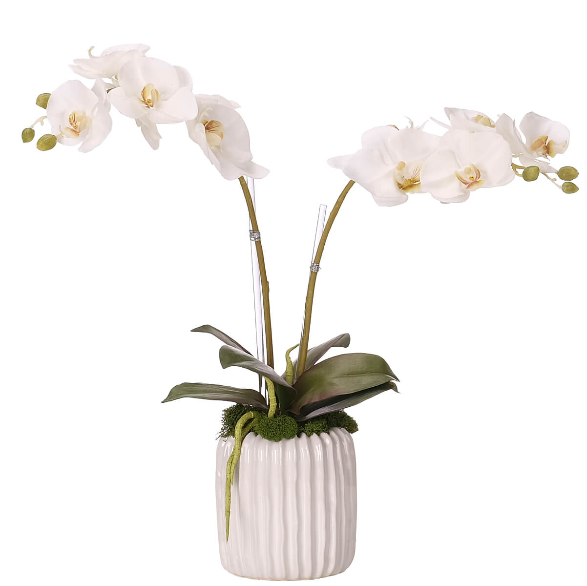 Phalaenopsis Orchid, Faux Arrangement, 18″