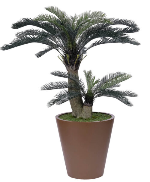 Cycas Palm, Faux Greenery, 66"