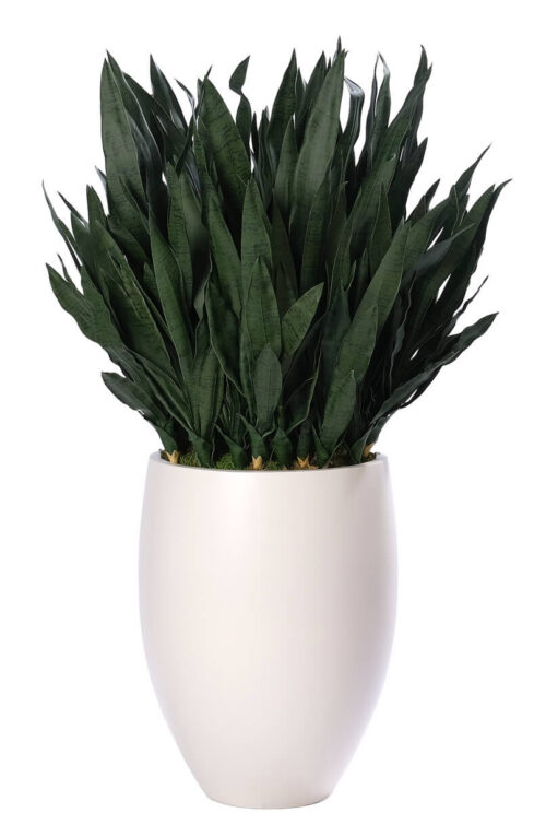 Sansevieria, Faux Greenery, 52"