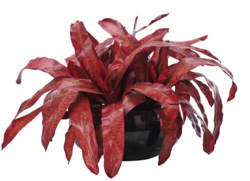 Bromeliad, Faux Greenery, 14" (Final Sale)