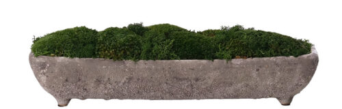 Moss Mound, Faux Greenery, 4.5"