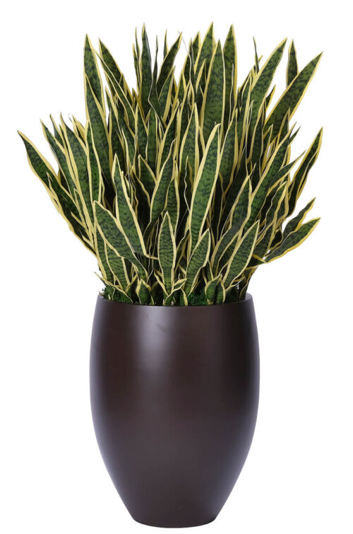 Sansevieria, Faux Greenery, 52"