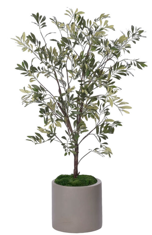 Olive Tree, Faux Greenery, 51"