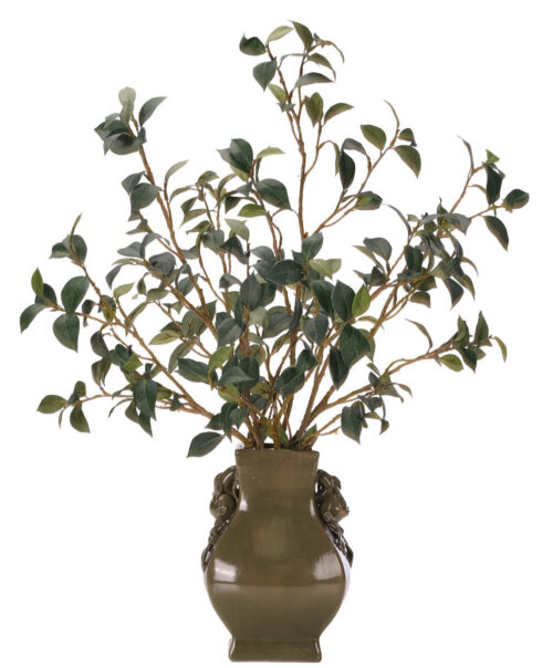 Camellia Branches, Faux Greenery, 31"