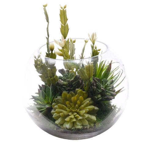 Succulent, Faux Moss Garden, 11"
