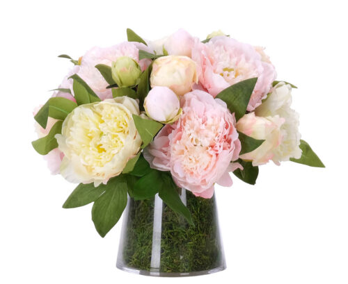 Peony, Faux Moss Garden, 11"