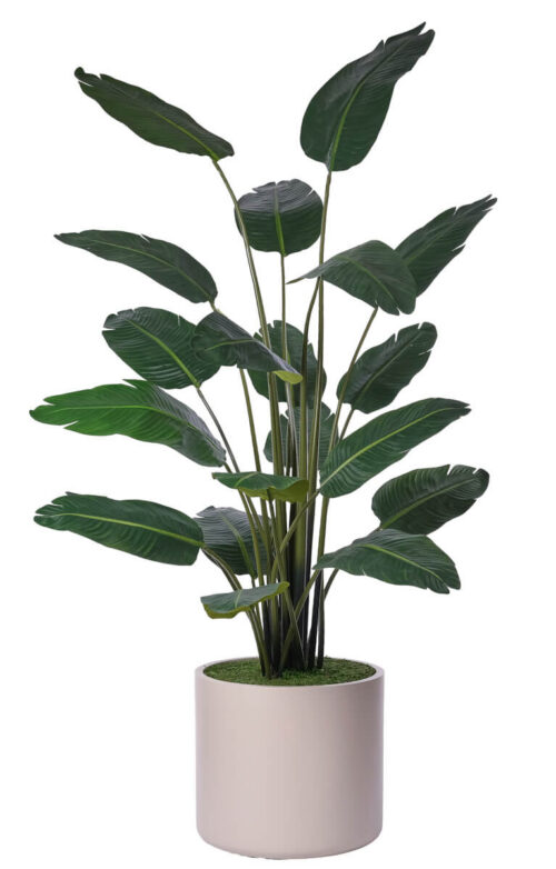 Travellers Palm, Faux Tree, 84"