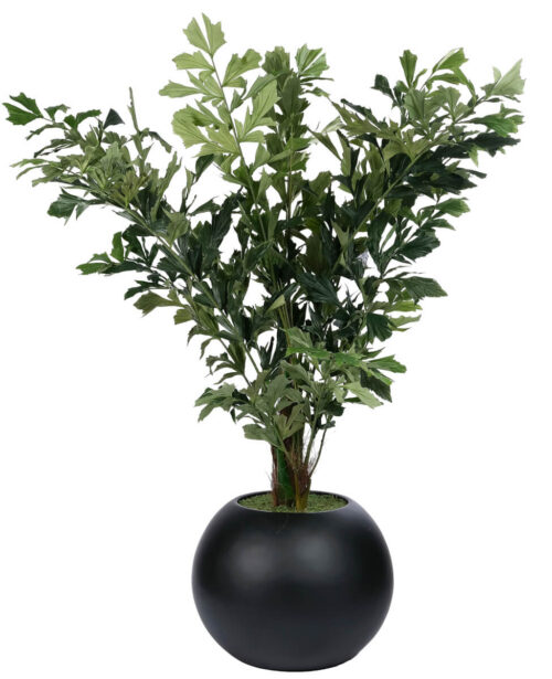 Fishtail Palm, Faux Tree, 78"