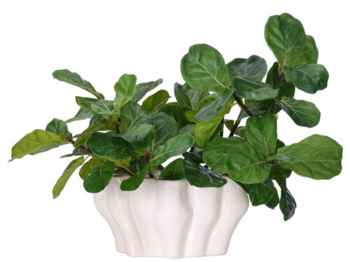 Fiddle Leaf, Faux Watergarden, 18"