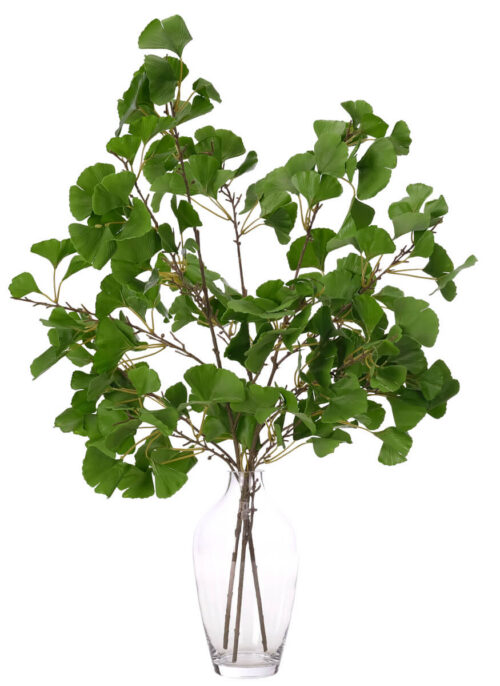 Ginkgo Leaves, Faux, Drop In, 34"