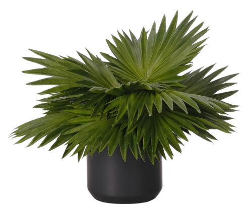 Fan Palm, Faux Arrangement, 17"