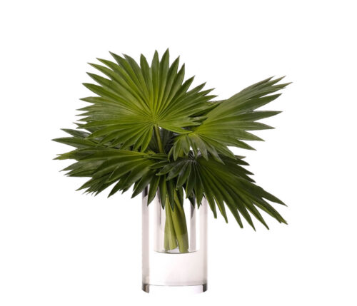 Fan Palm, Faux, Drop In, 18"
