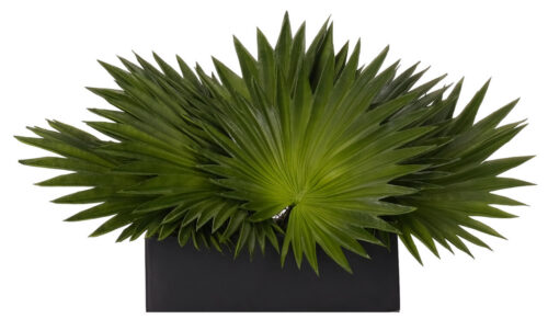 Fan Palm, Faux Arrangement, 12"