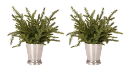 Pine, Set of 2, Faux Watergarden, 9"