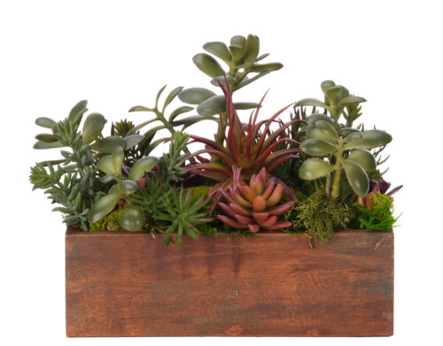 Succulent, Faux Arrangement, 10"