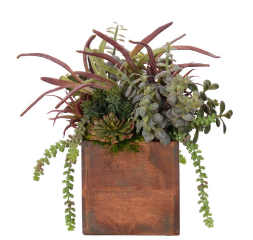 Succulent, Faux Arrangement, 16"