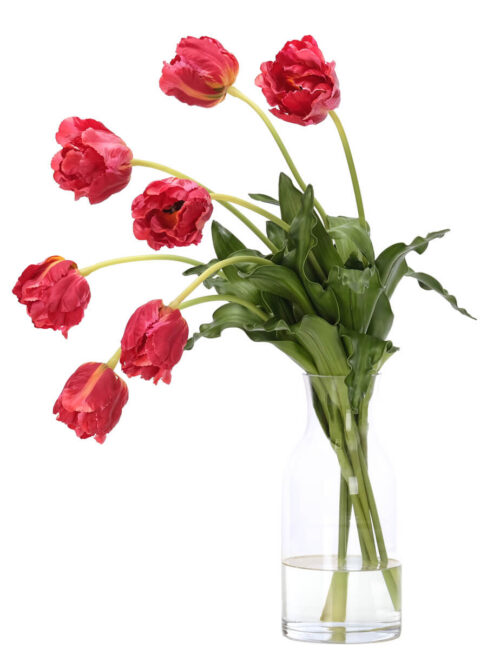 Tulip, Faux Watergarden, 28"