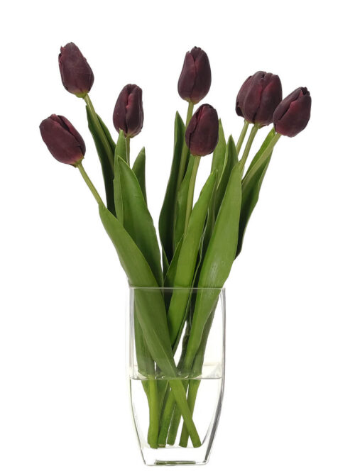 Tulip, Faux Watergarden, 18"