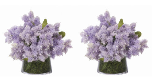 Thistle, Set of 2, Faux Moss Garden, 7"