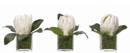 Protea, Set of 3, Faux Moss Garden, 6"