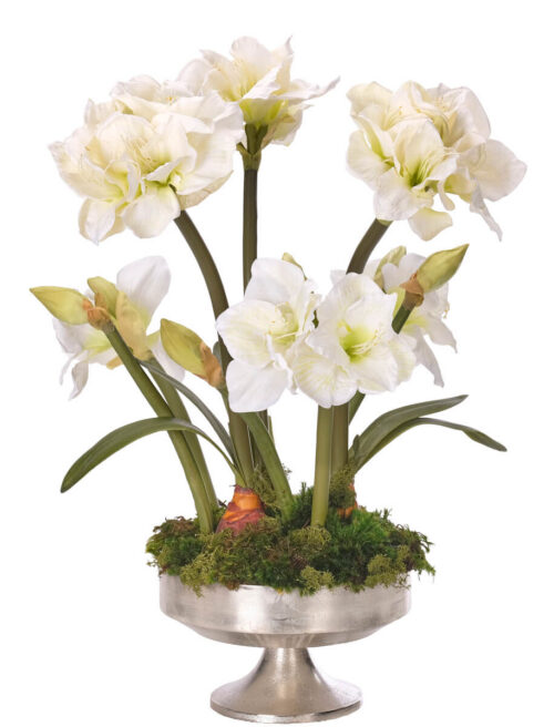 Amaryllis, Faux Arrangement, 31"
