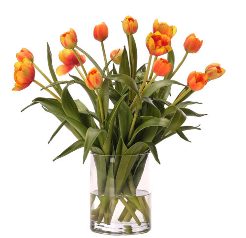 Tulip, Faux Watergarden, 16"