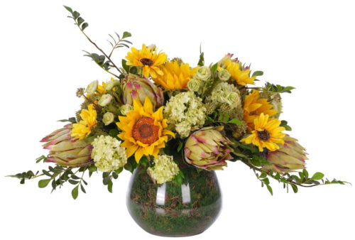Sunflower, Protea, Faux Moss Garden, 19"