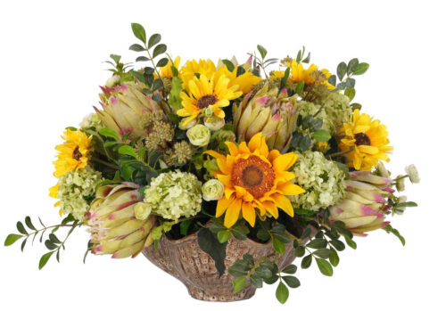 Sunflower Protea, Faux Arrangement, 16"