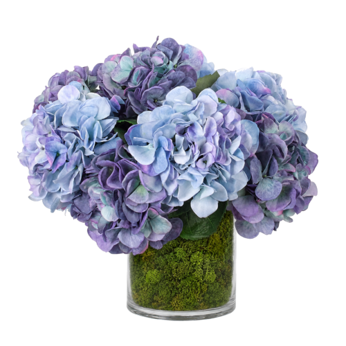 Hydrangea, Blue, Moss Glass Cylinder, 18wx16dx15h