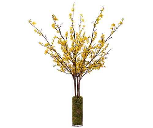 Flower Branches