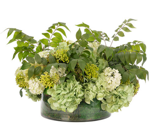 Hydrangeas