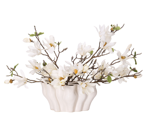 Magnolias