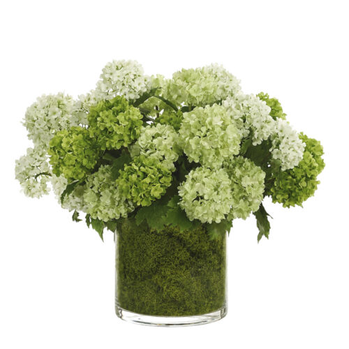 Snowball, Faux Moss Garden, 13"