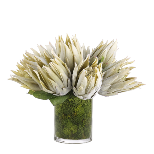 Protea, Faux Moss Garden, 14"