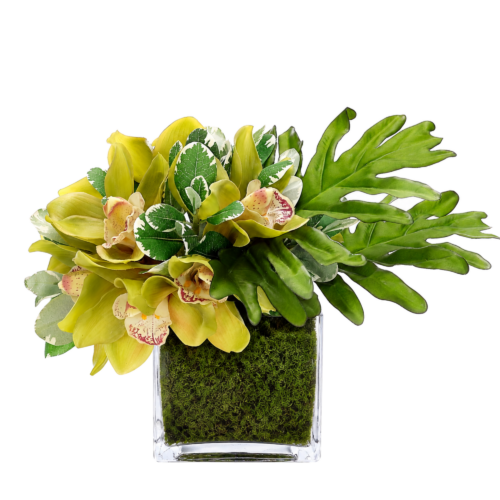 Cymbidium Orchid, Faux Moss Garden, 9"