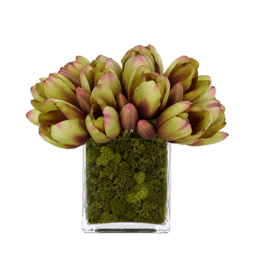 Tulip, Faux Moss Garden, 9"