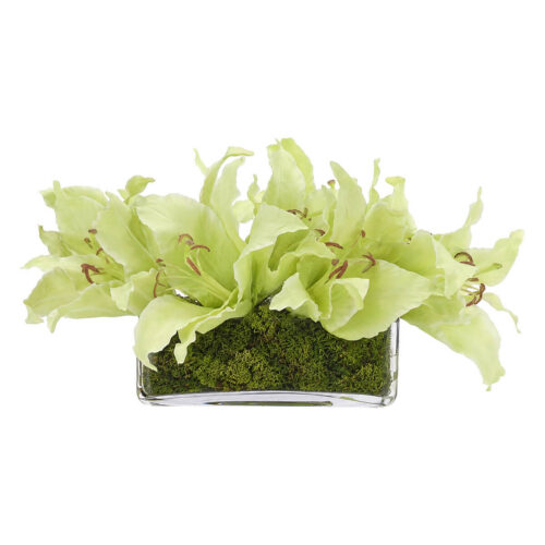 Real-Touch Lily, Faux Moss Garden, 9"