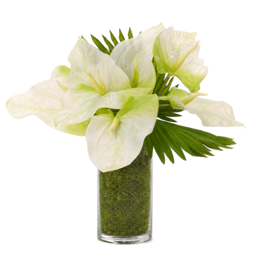 Anthurium, Faux Moss Garden, 20"