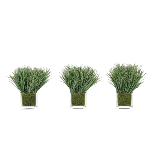 Grass, Gray, Moss Glass Cube/3, 7wx7dx8h