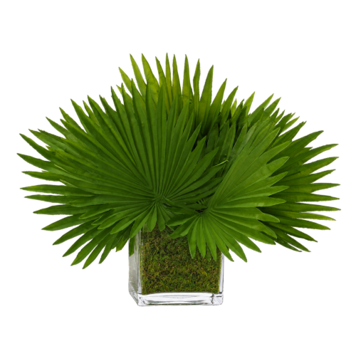 Fan Palm, Faux Moss Garden, 16"