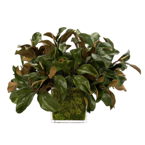Magnolia Foliage, Green, Moss Glass Cube, 27wx27dx17h