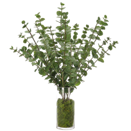 Eucalyptus, Green, Moss Glass Cylinder, 27wx27dx33h