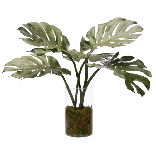 Monstera Leaf, Faux Moss Garden, 28"