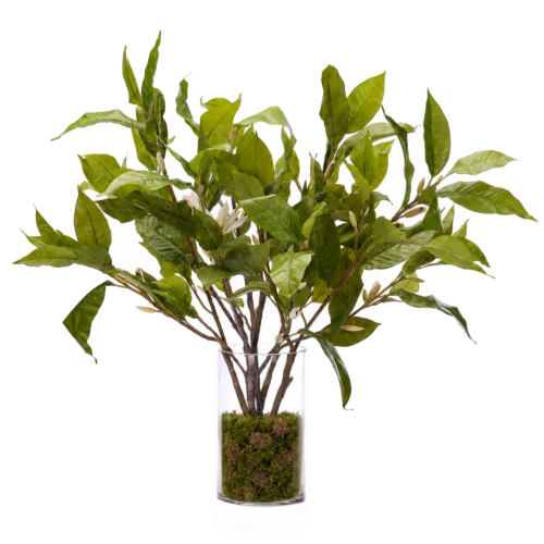 Jasmine Magnolia, Faux Moss Garden, 32"