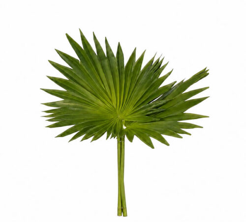 Fan Palm, Drop In, Faux, 11"