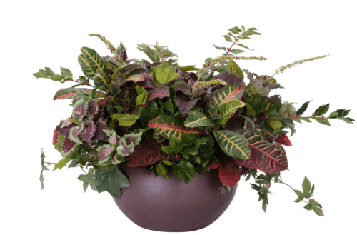 Croton Coleus Greenery, Faux Arrangement, 21"