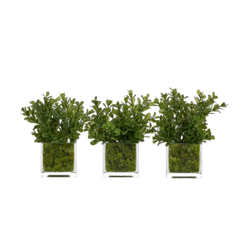 Boxwood, Set of 3, Faux Moss Garden, 7"
