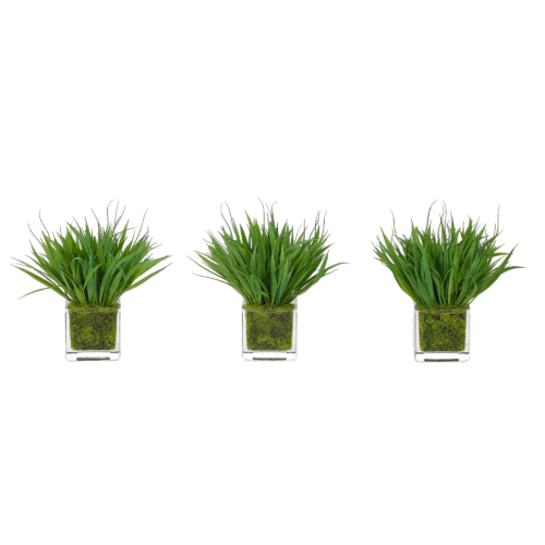 Grass, Green, Glass Cube Moss, Set of 3, 10wx10dx9h