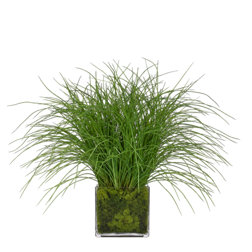 Grass, Faux Moss Garden, 24"